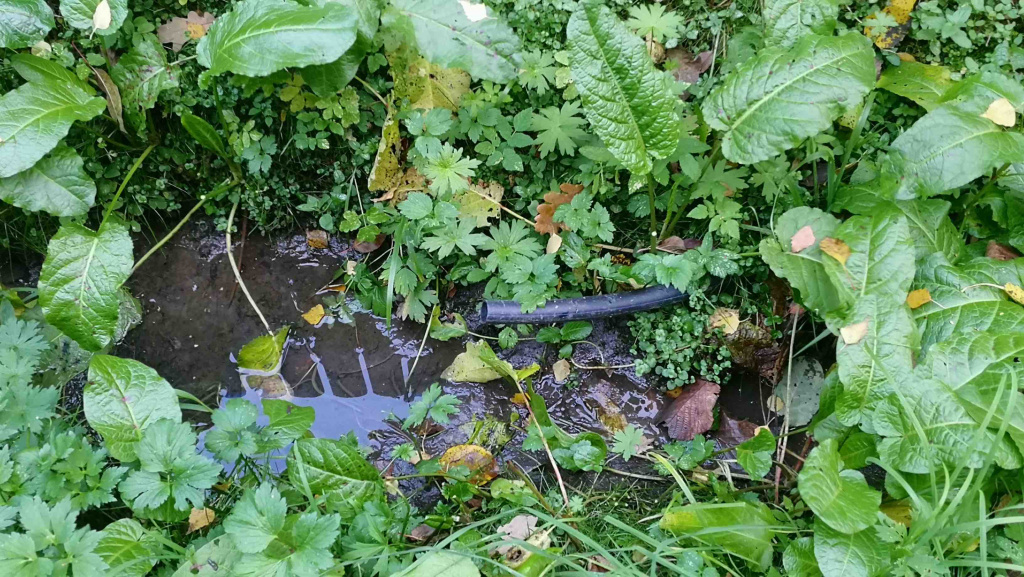 отвод воды в придорожный кювет из септика Диамант.jpg отвод воды в придорожный кювет из септика Диамант.jpg